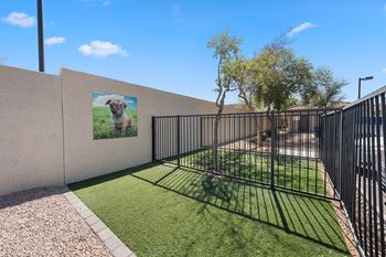 A black metal fence surrounds a grassy area with a poster of a dog on the wall.